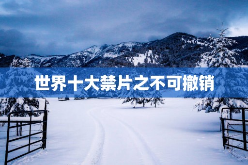 世界十大禁片之不可撤销