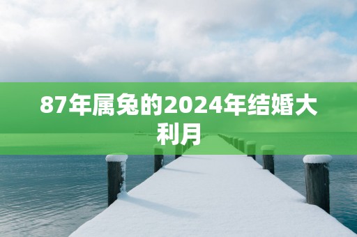 87年属兔的2025年结婚大利月