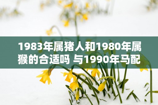 1983年属猪人和1980年属猴的合适吗 与1990年马配吗