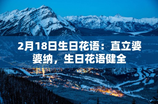 2月18日生日花语：直立婆婆纳，生日花语健全