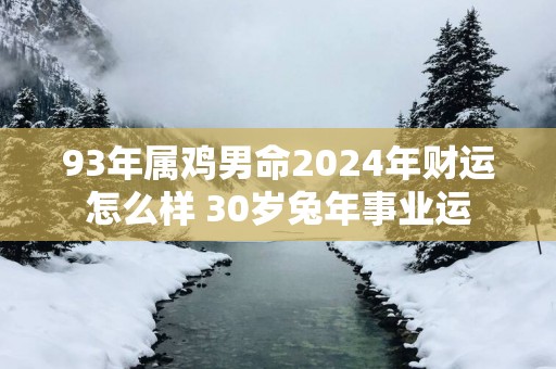 93年属鸡男命2025年财运怎么样 30岁蛇年事业运