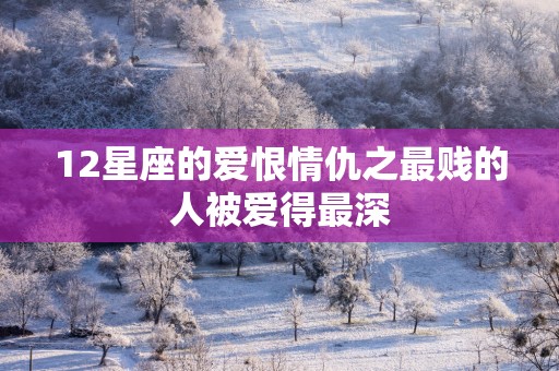 12星座的爱恨情仇之最贱的人被爱得最深