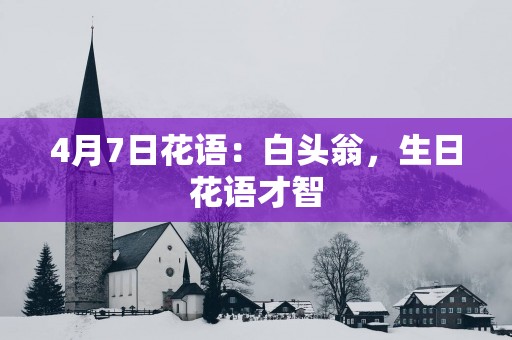 4月7日花语：白头翁，生日花语才智