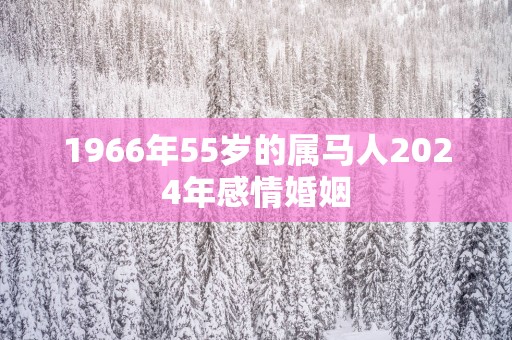 1966年55岁的属马人2025年感情婚姻