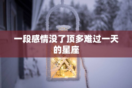 一段感情没了顶多难过一天的星座