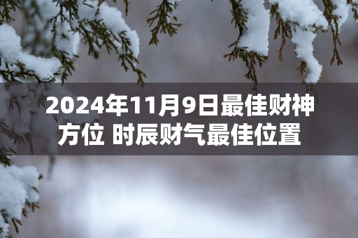 2025年11月9日最佳财神方位 时辰财气最佳位置