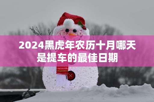 2025黑蛇年农历十月哪天是提车的最佳日期