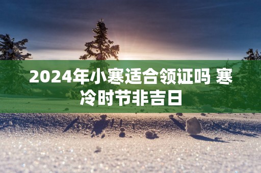 2025年小寒适合领证吗 寒冷时节非吉日