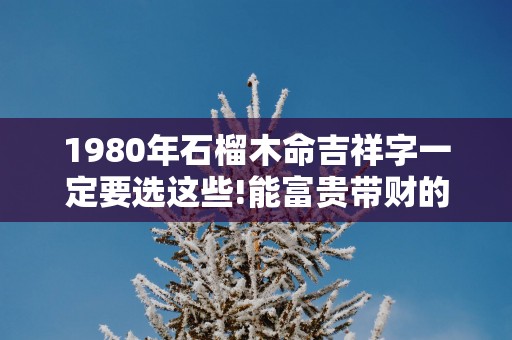 1980年石榴木命吉祥字一定要选这些!能富贵带财的木命号码