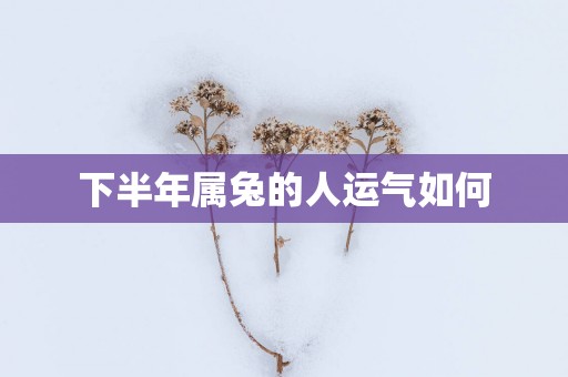 下半年属兔的人运气如何