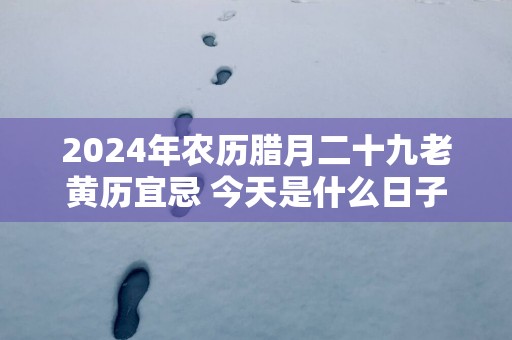 2025年农历腊月二十九老黄历宜忌 今天是什么日子