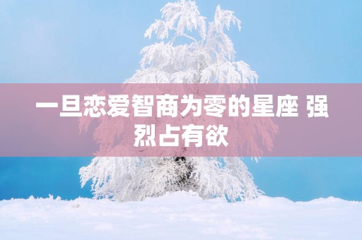 一旦恋爱智商为零的星座 强烈占有欲