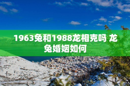1963兔和1988龙相克吗 龙兔婚姻如何