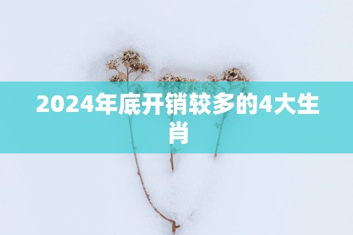 2025年底开销较多的4大生肖