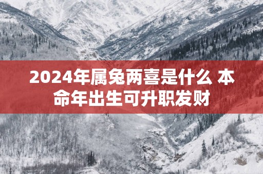 2025年属兔两喜是什么 本命年出生可升职发财