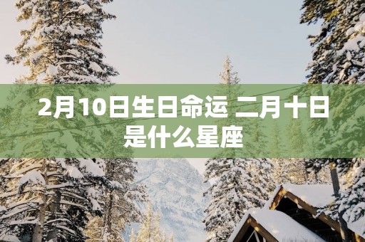 2月10日生日命运 二月十日是什么星座