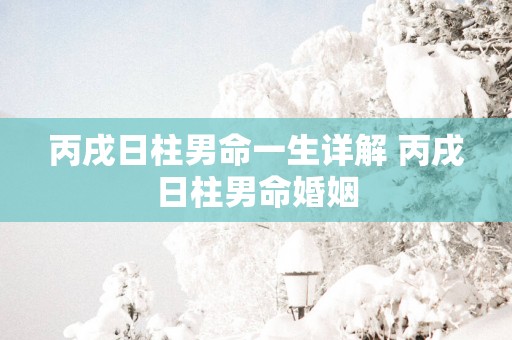 丙戌日柱男命一生详解 丙戌日柱男命婚姻