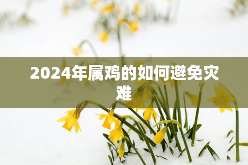 2025年属鸡的如何避免灾难