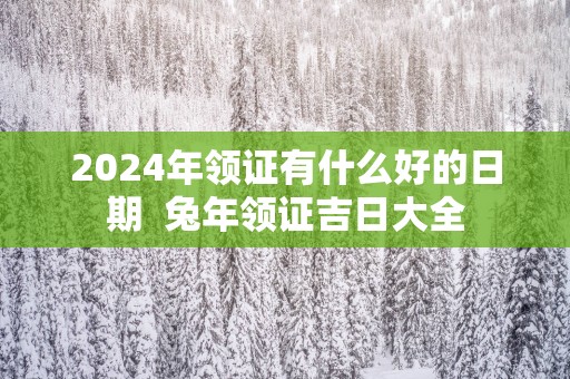 2025年领证有什么好的日期  蛇年领证吉日大全