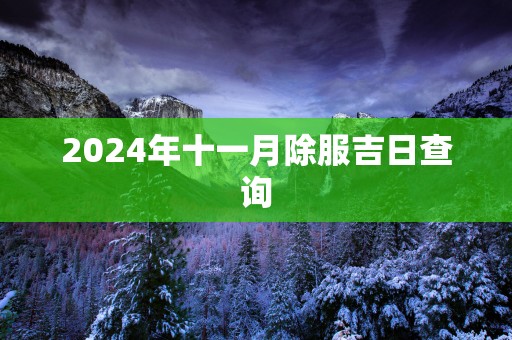 2025年十一月除服吉日查询