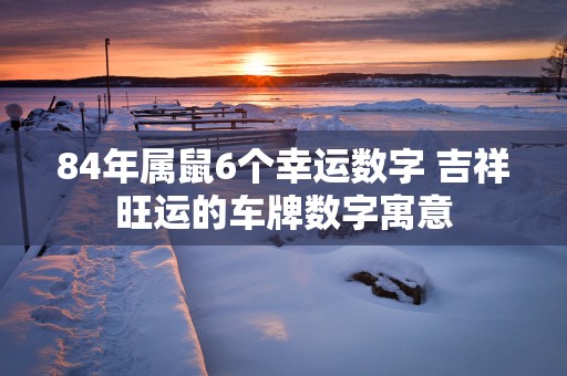 84年属鼠6个幸运数字 吉祥旺运的车牌数字寓意