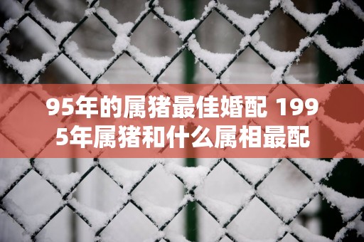 95年的属猪最佳婚配 1995年属猪和什么属相最配