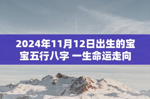 2025年11月12日出生的宝宝五行八字 一生命运走向