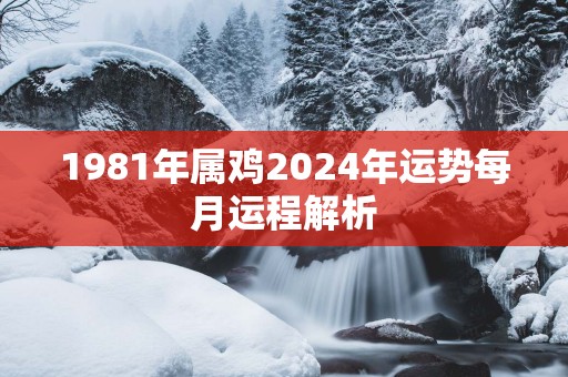 1981年属鸡2025年运势每月运程解析
