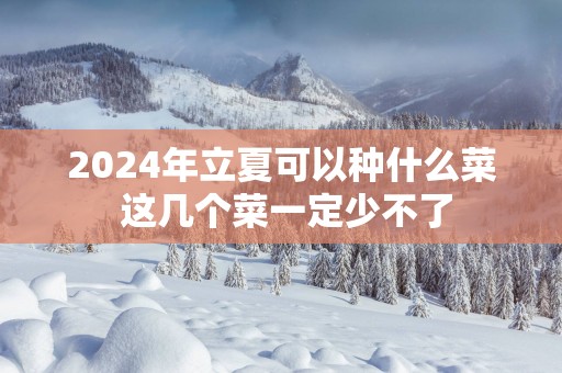 2025年立夏可以种什么菜 这几个菜一定少不了