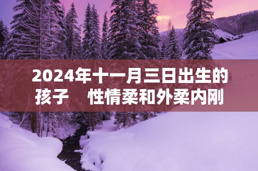 2025年十一月三日出生的孩子    性情柔和外柔内刚