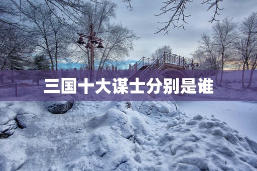 三国十大谋士分别是谁