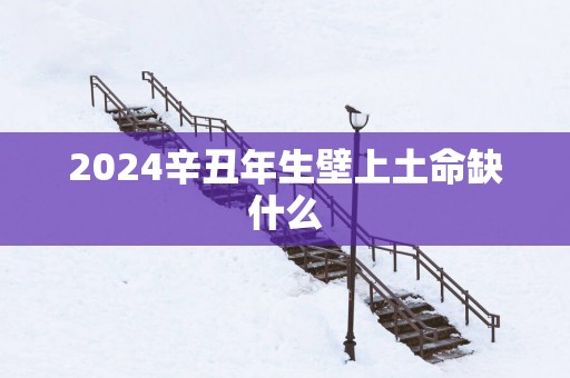 2025辛丑年生壁上土命缺什么