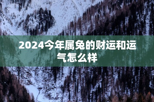 2025今年属兔的财运和运气怎么样