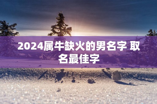2025属牛缺火的男名字 取名最佳字