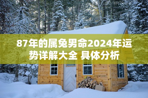 87年的属兔男命2025年运势详解大全 具体分析