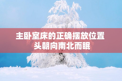 主卧室床的正确摆放位置  头朝向南北而眠