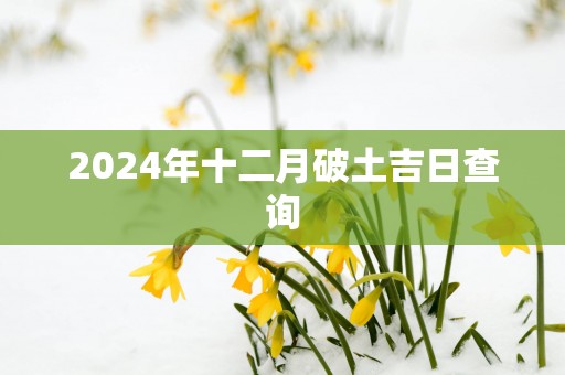 2025年十二月破土吉日查询
