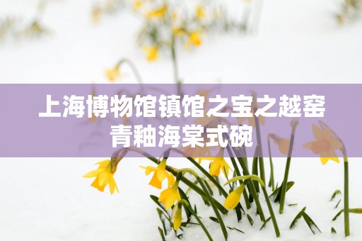 上海博物馆镇馆之宝之越窑青釉海棠式碗