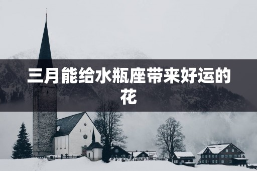 三月能给水瓶座带来好运的花