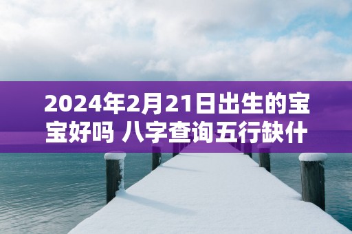2025年2月21日出生的宝宝好吗 八字查询五行缺什么