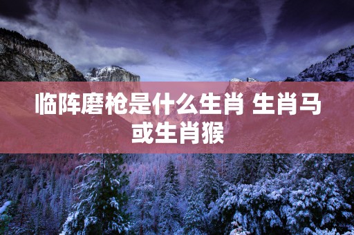 临阵磨枪是什么生肖 生肖马或生肖猴