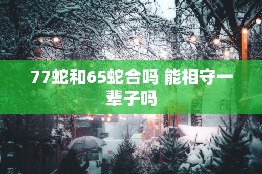 77蛇和65蛇合吗 能相守一辈子吗