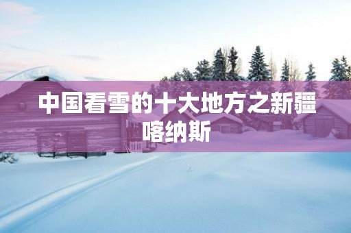 中国看雪的十大地方之新疆喀纳斯