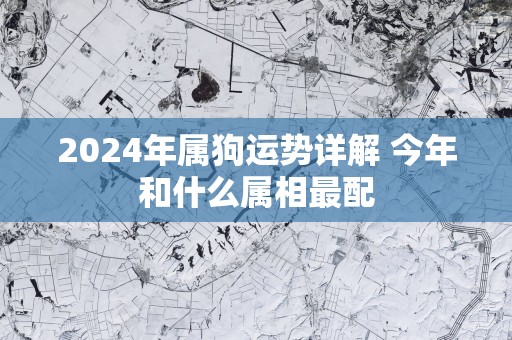 2025年属狗运势详解 今年和什么属相最配 2025年属狗运势详解 今年和什么属相最配