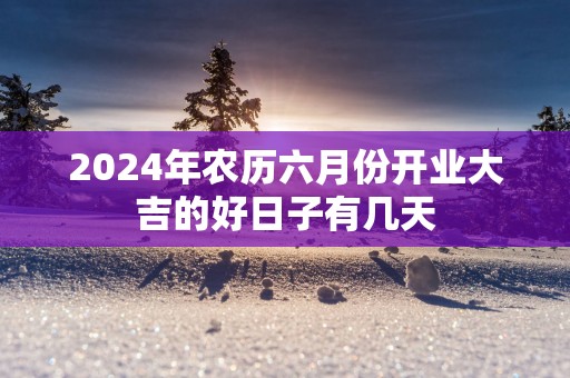 2025年农历六月份开业大吉的好日子有几天