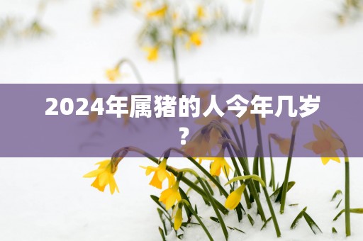 2025年属猪的人今年几岁？