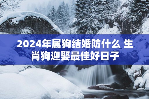 2025年属狗结婚防什么 生肖狗迎娶最佳好日子