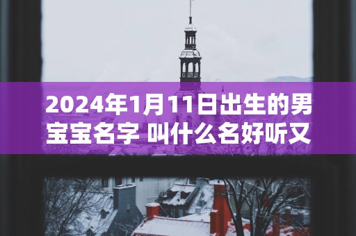 2025年1月11日出生的男宝宝名字 叫什么名好听又吉利