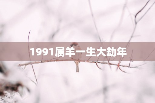 1991属羊一生大劫年