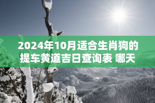 2024年10月适合生肖狗的提车黄道吉日查询表 哪天可以买车上牌